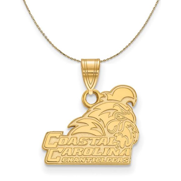 14k Yellow Gold Coastal Carolina U Small Necklace - 30 Inch